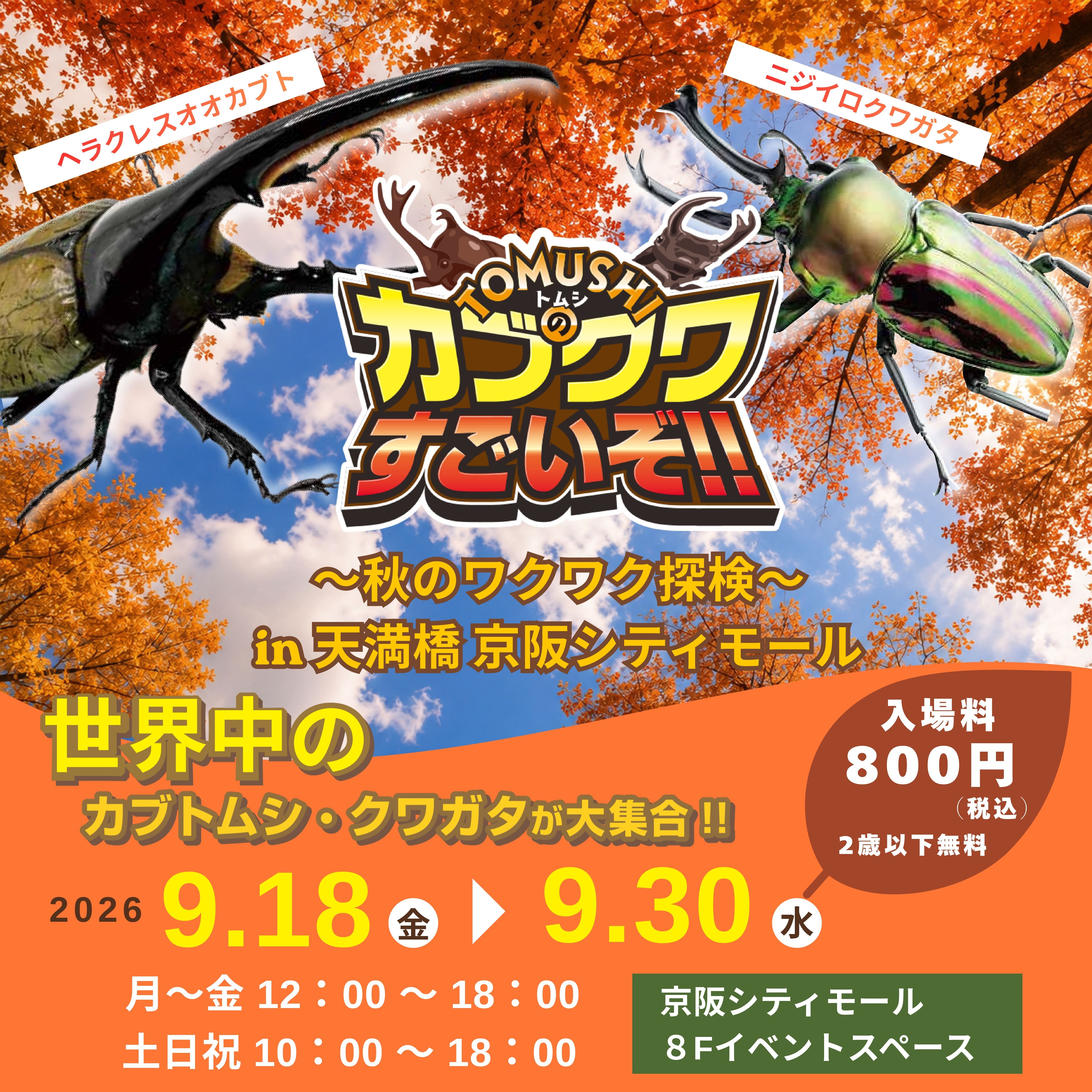 カブクワすごいぞ!!がやってくる！ | ニュース＆イベント | KEIHAN