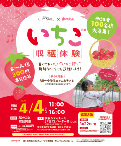 いちご収穫体験