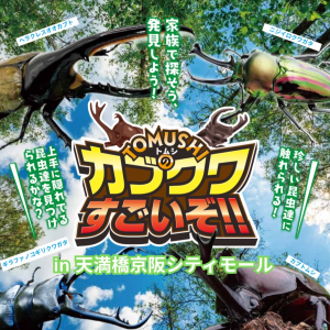 カブクワすごいぞ!!がやってくる！