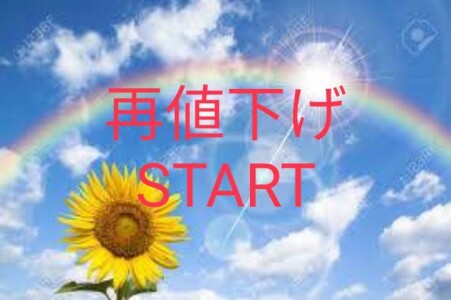 ★再値下げSTART★