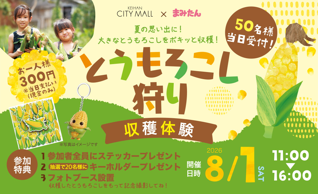 とうもろこし収穫体験