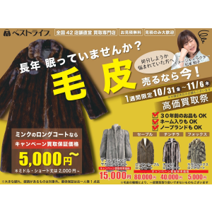 長年眠っていませんか？ 毛皮売るなら今！高価買取祭り