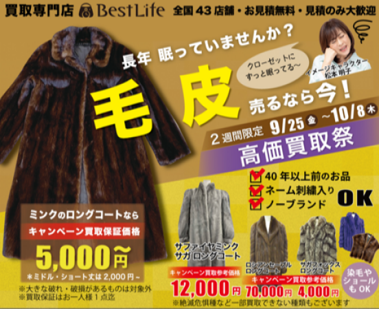 毛皮高価買取祭 開催中!