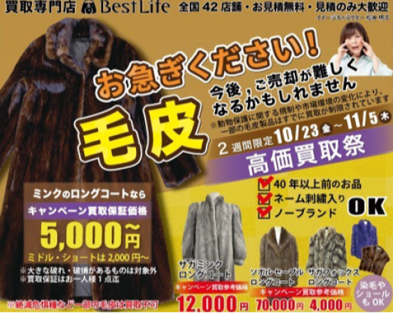 毛皮高価買取祭 開催中!