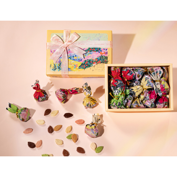 モンロワール　リーフメモリーカラーボックス15個入り