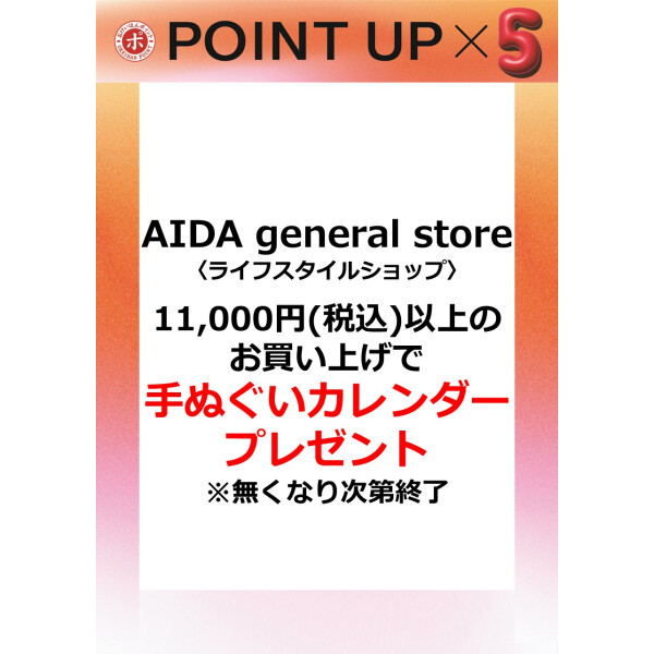 AIDA general store