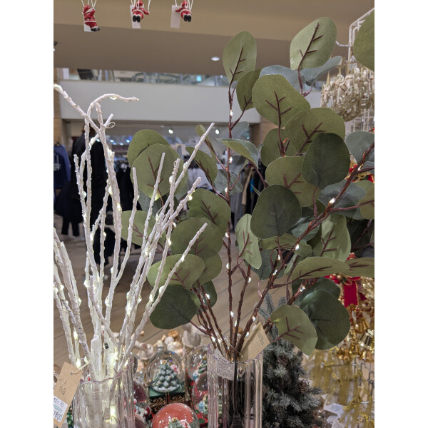 ブランチ　ツリー