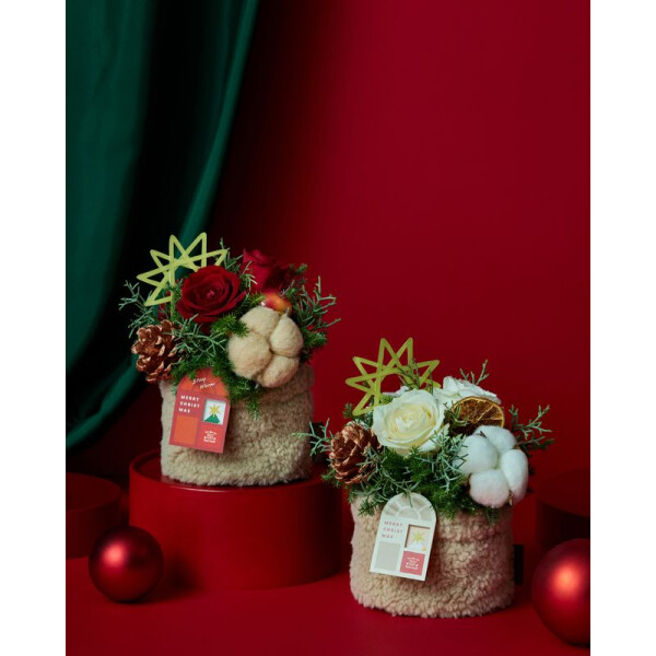 クリスマスアレンジメント MOFFY