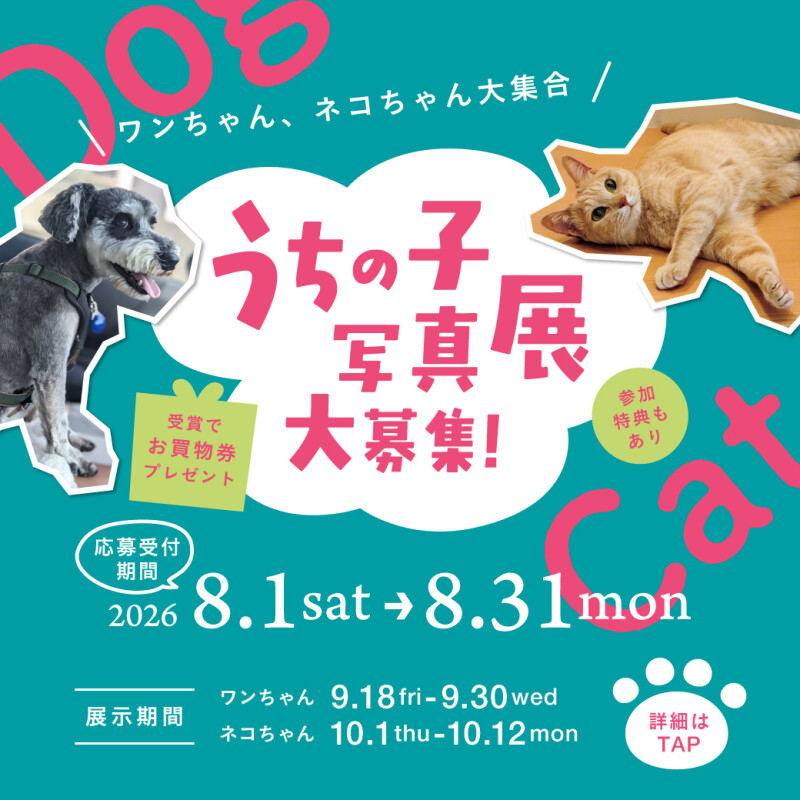 【作品募集✨】\ワンちゃん、ネコちゃん大集合/うちの子写真展🐶🐱