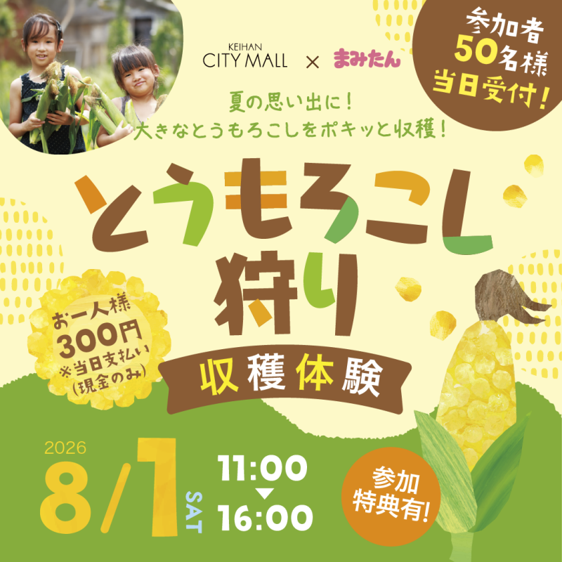 とうもろこし収穫体験